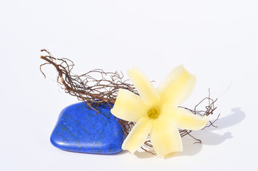 Lapislazuli mit gelber Hyazinthe Blüte und feinem Zweig auf hellem Hintergrund Balance und Meditatin