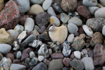 Heart of stone