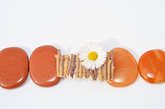 Sonnenlicht f&auml;llt auf einen Steg mit Bl&uuml;te der Heilsteine miteinander verbindet Mut zur Heilung