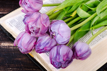 Violet tulips, petals, book on wooden background. Vintage and retro style.