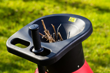 Roter H&auml;cksler im Garten