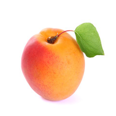 Abricot