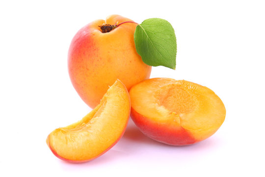 4 260 Best Abricot Images Stock Photos Vectors Adobe Stock
