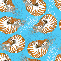 Fototapety  Wzór z Nautilus Pompilius lub Nautilus komorowy na niebieskim tle z bąbelkami. Morskie tło w stylu konturu.