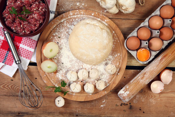 Russian traditional pelmeni