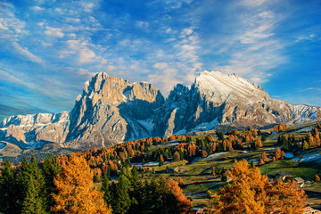 Autumn landscape with bright colors, house and larch trees in th
