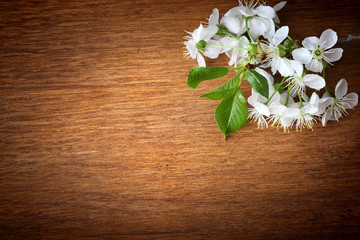 apple blossoms in spring and empty wooden deck table