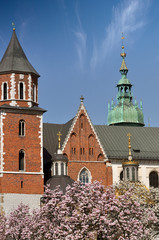 Fototapeta na wymiar A view of a Wawel castle in spring day - Krakow