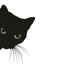 Predatory black cat. 