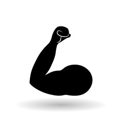 fitness and gym design, vector illustration