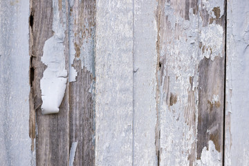 textured old wood grundge background