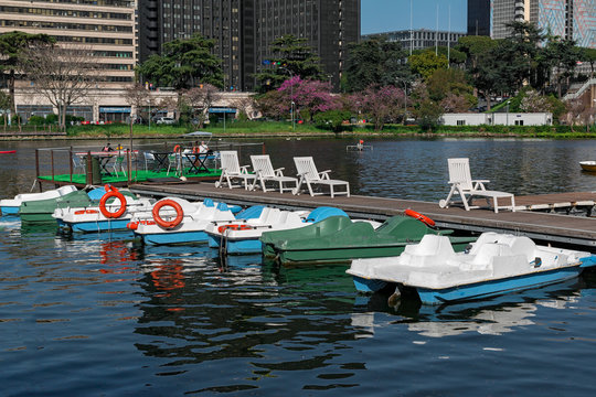 pedal boats on the lake in the city
