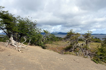 The Lago Blanco on the island of Tierra del Fuego.