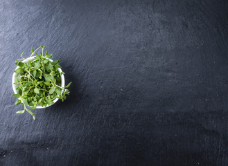 Slate Slab with fresh Thyme