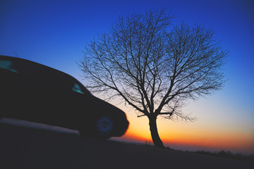 Samochód i drzewo na tle zachodzącego słońca