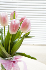 Beautiful bouquet of pink tulips on backlight background