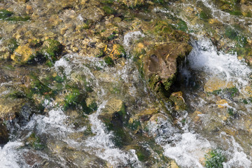 Moss arround the river