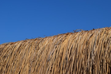 Reed roof against blue sky