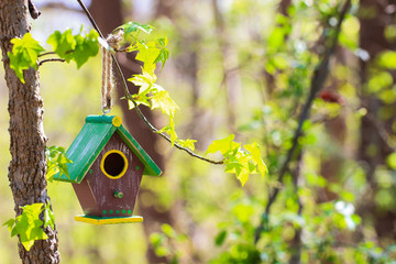 Brown birdhouse hanging from branch with spring foliage