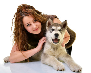 Young Alaskan Malamute