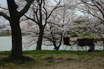 花見の宴