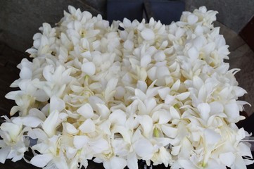 Fragrant white tuberose flower lei necklaces awaiting visitors in Hawaii