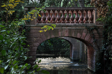 Antiguo puente de piedra sobre un canal de agua y con hiedra a su alrededor