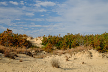 Sand dunes Outer Banks North Carolina
