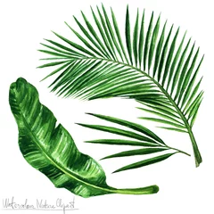 Gordijnen Watercolor Nature Clipart - Palm leaves © nataliahubbert