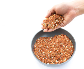 Rice berry on hand with white background