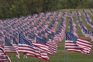 flag display on hill
