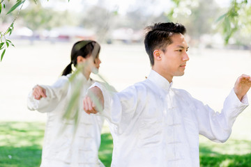 Fototapeta premium People practicing thai chi in park