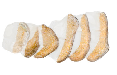 scales of a carp on a white background