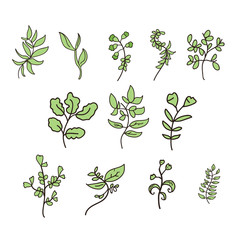 Plant Design