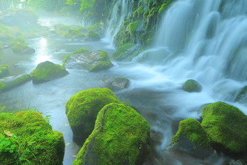 Fototapeta premium 元滝伏流水