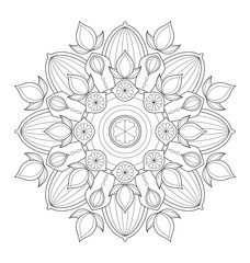 Decorative mandala illustration for adult coloring, well arranged group and easy to edit