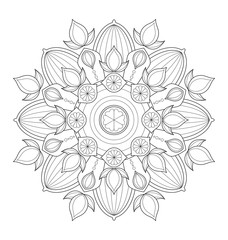 Decorative mandala illustration for adult coloring, well arranged group and easy to edit