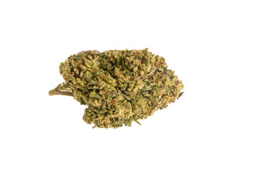 cookie kush marijuana
