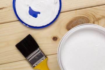 Brush for paint and paint