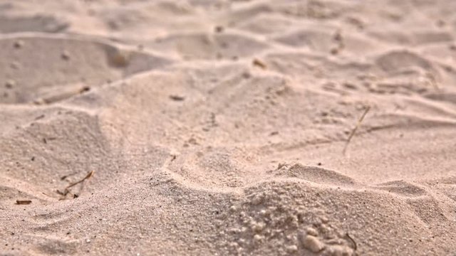 Dried sand falling close up