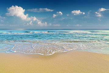 tropical beach