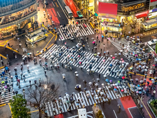 Naklejka premium Przejście Shibuya w Tokio w Japonii