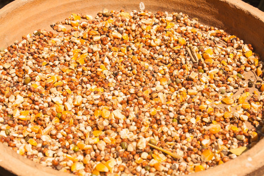 Bird Food