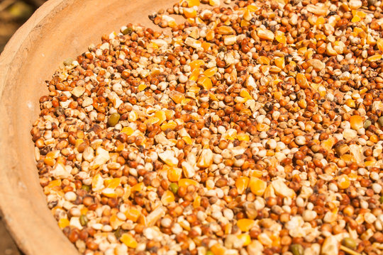 Bird Food