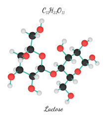 C12H22O11 Lactose molecule