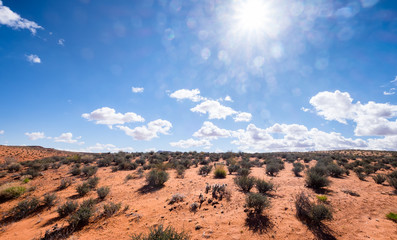 Arizona American desert landscape under a blazing sun with lens flare