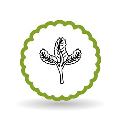 flower icon design , vector illustration