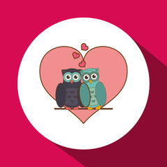 Love with owl design, vector illustration