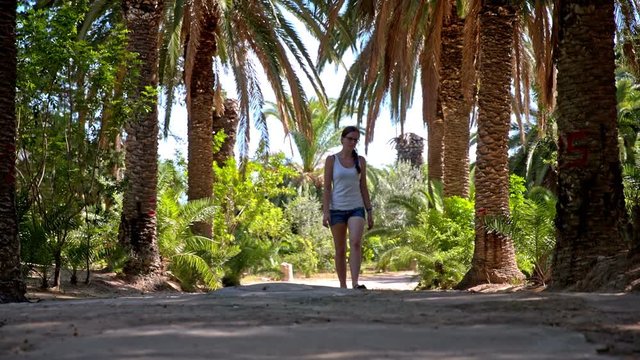 Person walk under huge palm trees