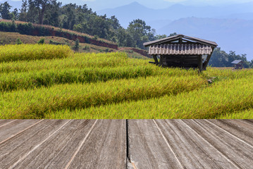 Terraced rice field with with wooden floor perspective.